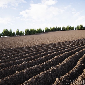 Plowed Earth Field