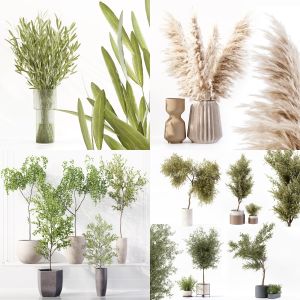5 Products Indoor Plants