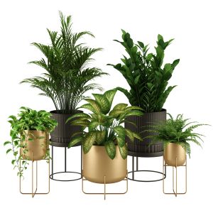 Indoor Plant Set 002
