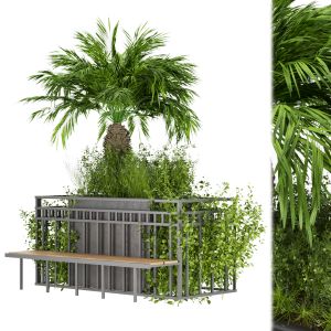 Collection Plant Vol 228 Free 3d Model