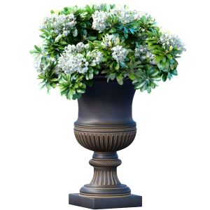 Bouquet Of White Flowers In A Classic Black Vase
