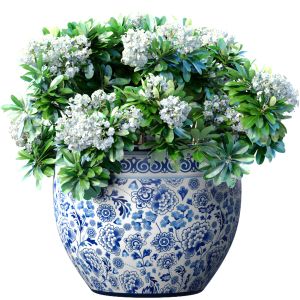 Bouquet Of White Flowers In A Potted Vase For Deco