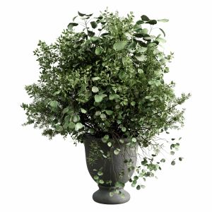 Bouquet Green Plant In Grey Concrete Dirty Vase 48