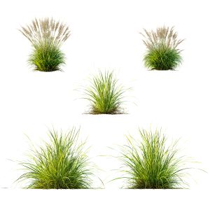 6diffrent Grass 03
