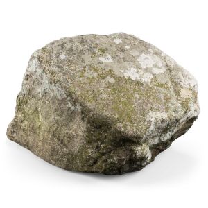 Maine Rock - 8k Scan