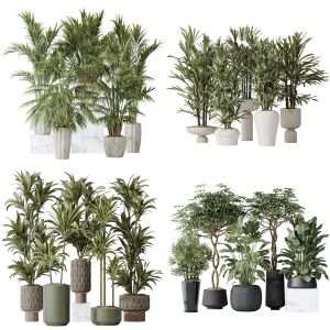 5 Different SETS of Plant Indoor. SET VOL162