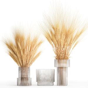 Bouquet Of Dried Wheat Spikelets In A Glass Vase