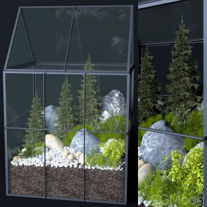 Greenhouse Moss Terrarium