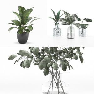 indoor and outdoor plant collection vol 1