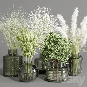Collection Plants Bouquet Indoor Glass Vase