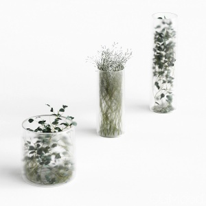 Plants In Frosted Vases set