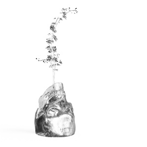 Glass Skull Flowerpot