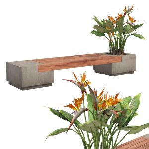 Outdoor Bench With Bird Of Paradise Flower