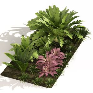 Vivid Tropical Grouping Plants