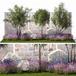 Beautiful Garden With Olive Elaeagnus Lavender