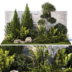 Beautiful Garden With Thuja Cypress Pine Juniper