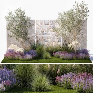 Beautiful Garden With Olive Lavender Feather Grass