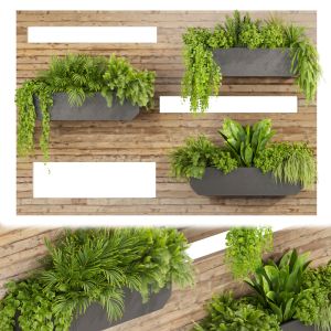Collection Plant Vol 505 - Garden - Leaf -fitowall