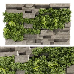 Collection Plant Vol 512 - Fitowall - Concrete