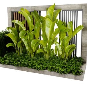 Collection Plant Vol 513 - Blender Model