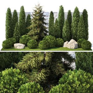 Garden With Thuja, Cypress, Pine And Topiary Plant