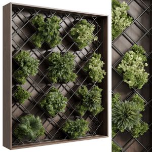 Plants Set Partition In Wooden Frame - Vertical Gr