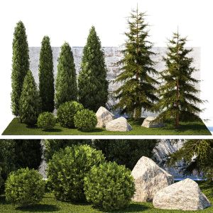 Garden With Trees And Bushes Thuja Cypress Spruce