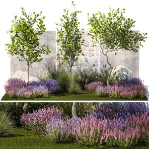 Garden With Trees Bushes Lavender Flowers Grass