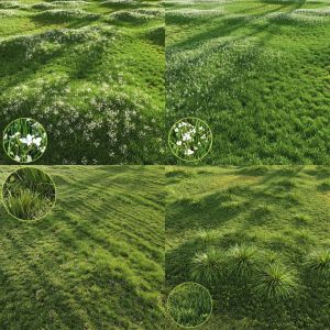 5 Different SETS of GRASS. SET VOL51