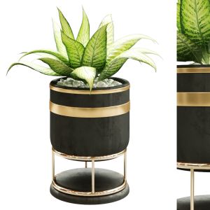 Plant In Vase 129
