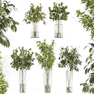 Decorative Plants 03