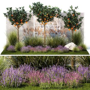 Garden With Orange Trees And Lavender Flowers