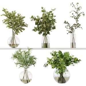 Collection Indoor Plants 049