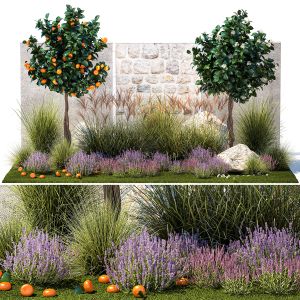 Garden With Tangerine Trees And Lavender Bushes