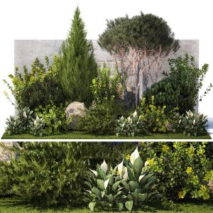 Garden Cypress Thuja Pine Topiary Berberis 1397
