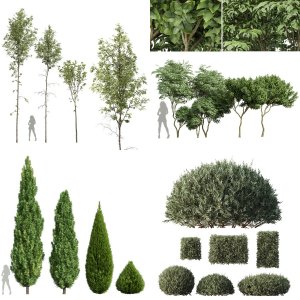 5 Different SETS of Tree Bush. SET VOL91