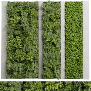 Concrete Frame Vertical Plant And Moss Garden Wall