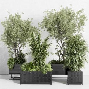 Metal Box Plants On Stand - Set Indoor Plant 425