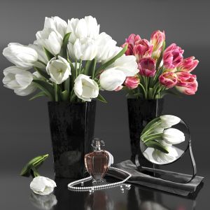 Bouquets Of White And Pink Tulips