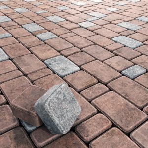 Paving Stone Brick N1