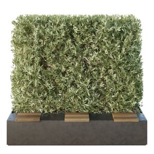 Hq Urban Environment Set Of Green Plant Benches 16