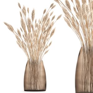 Bouquet Of Dried White Reeds In A Vase 149