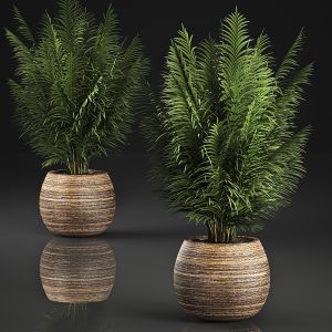Decorative Palm In A Basket 828